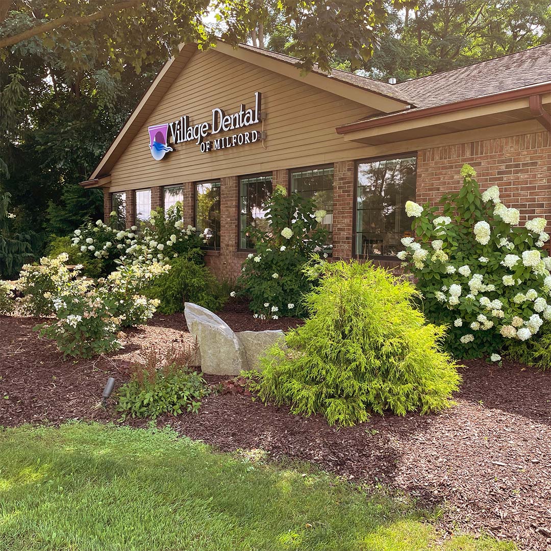 Dental Office in Milford MI